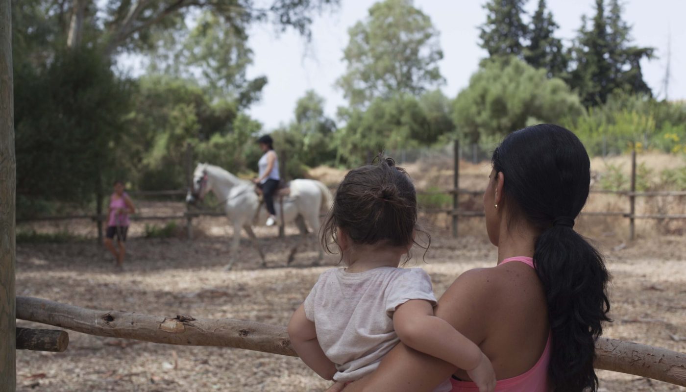 Familiar caballos 3