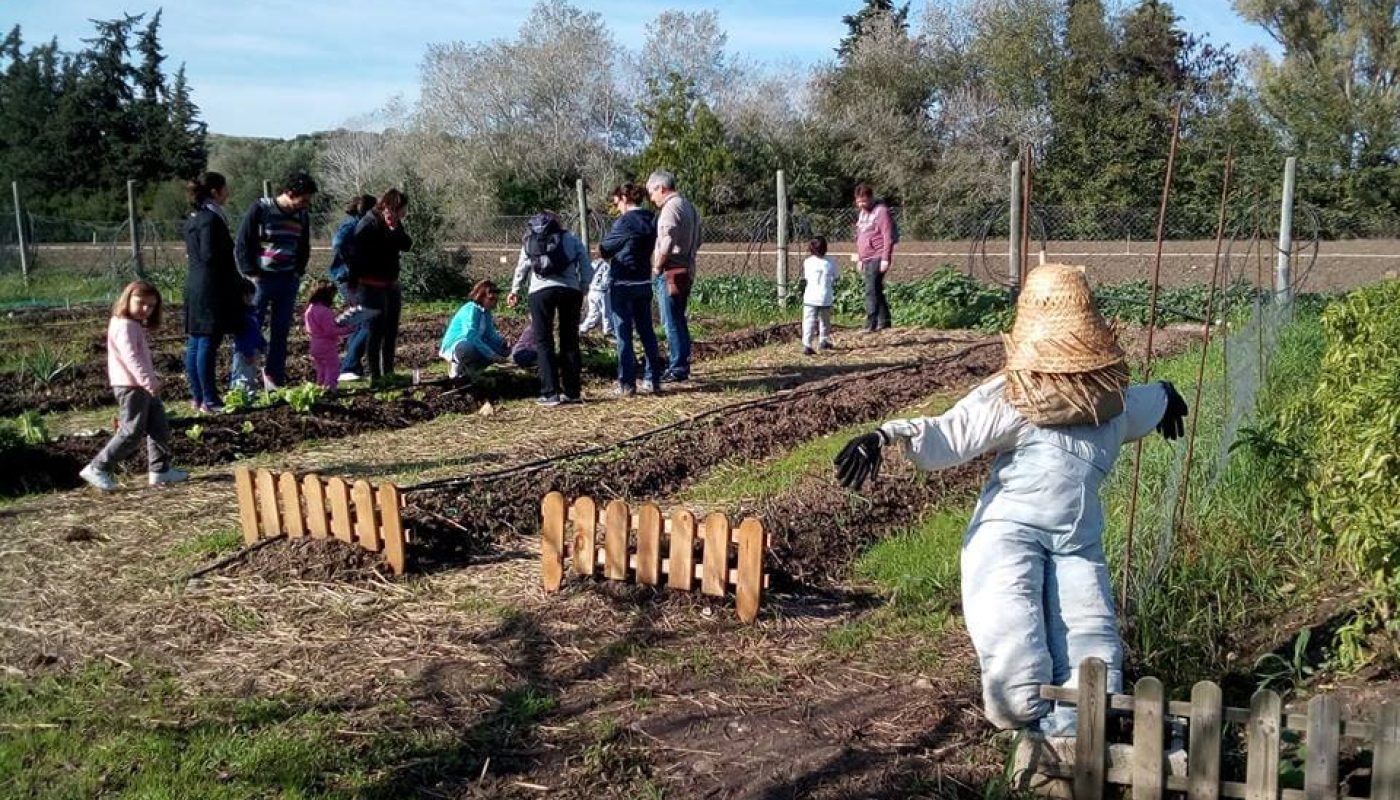 Familias en huerto
