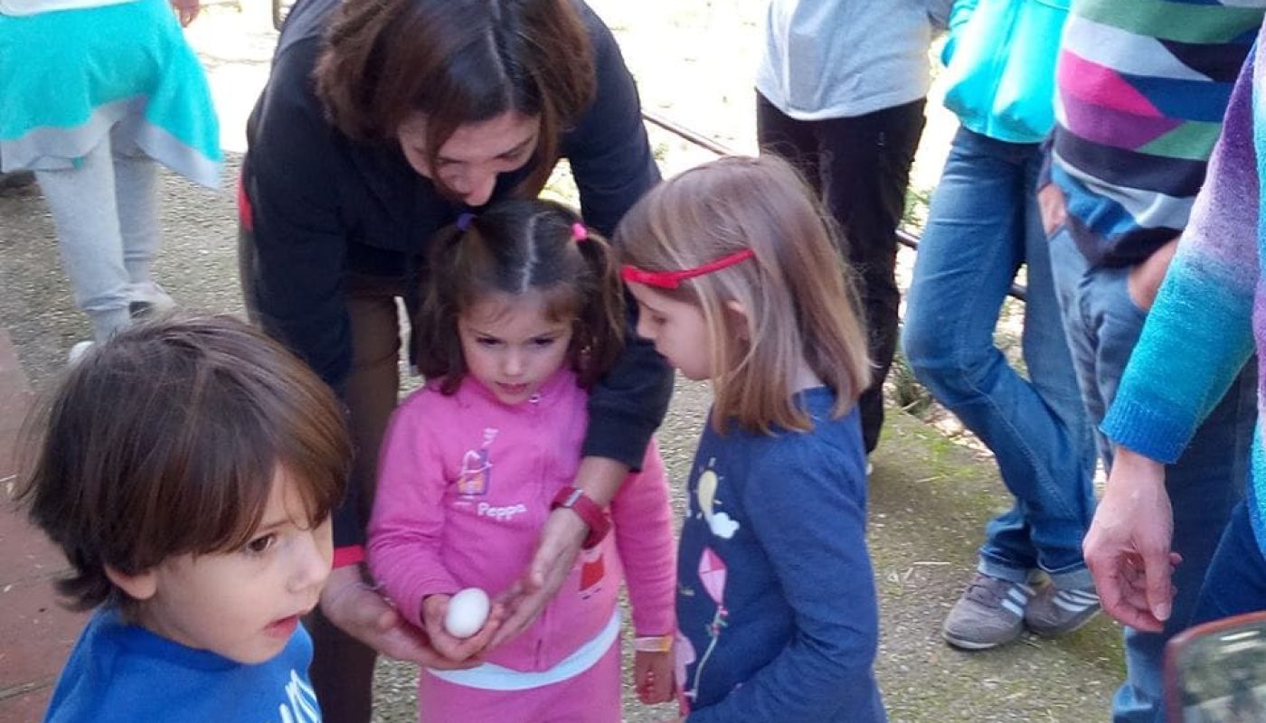 Niños viendo huevo
